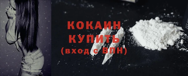 первитин Няндома