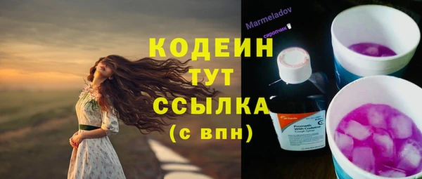 apvp Нязепетровск