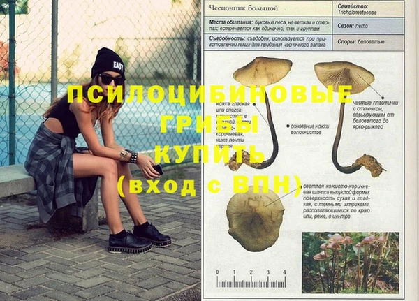 apvp Нязепетровск