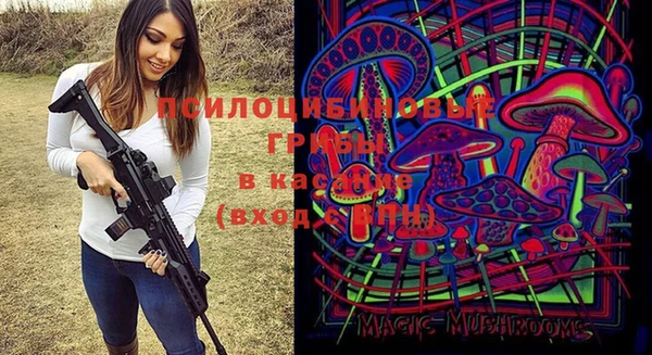 apvp Нязепетровск