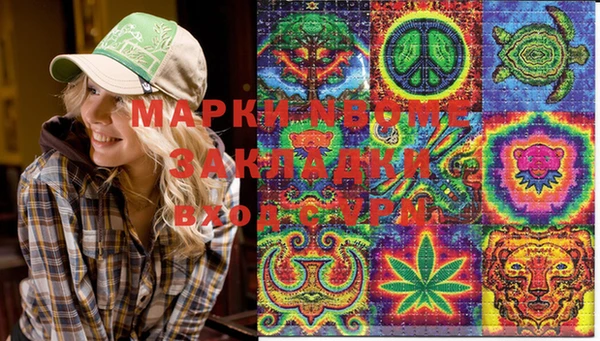 первитин Няндома